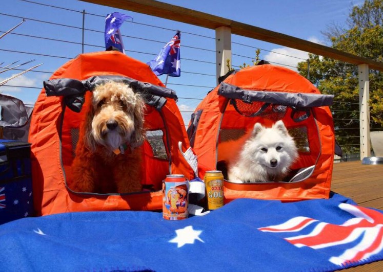 australia day camping qld - murphys creek escape