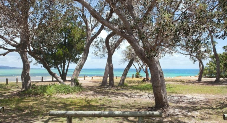 Minjerribah Camping – North Stradbroke Island - dog friendly camping