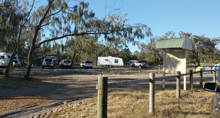 S.S. Dorrigo Campground – Inskip Point dog camping qld