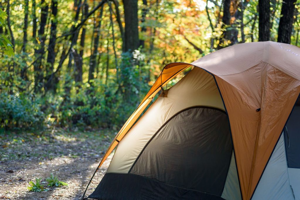 closeup of one tent in bush with early morning light shining