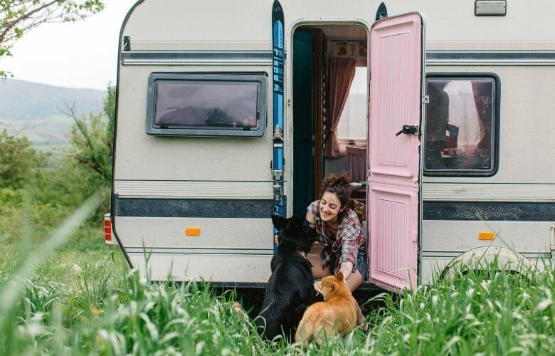 useful tips for successful van camping with your dog (1)