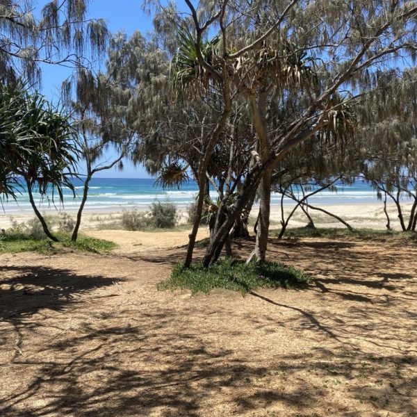 Coolala beach dog camping south east queensland