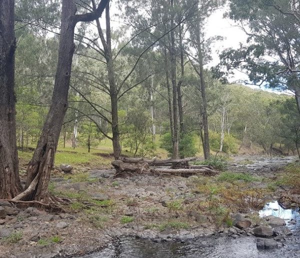 Goomburra Valley Campground dog friendly south east qld