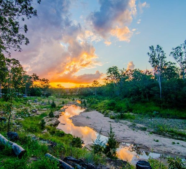 Murphys Creek Escape dog friendly camping - Brendan McGovern