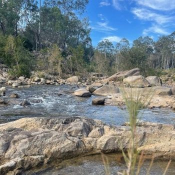 View the Murphy's Creek Escape Gallery | Camp Ground near Toowoomba