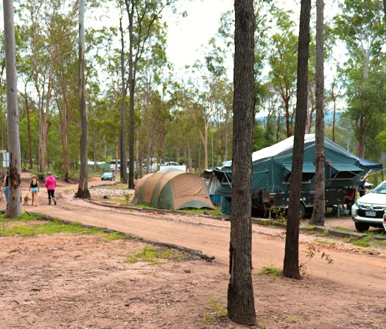 new-years-camping-qld-murphys-creek-escape