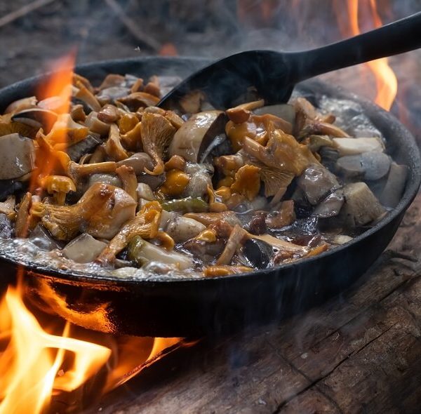 quick and easy vegetarian campfire recipes