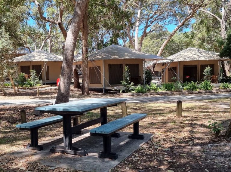 adder rock camping ground north stradbroke island - beach camping - murphys creek escape